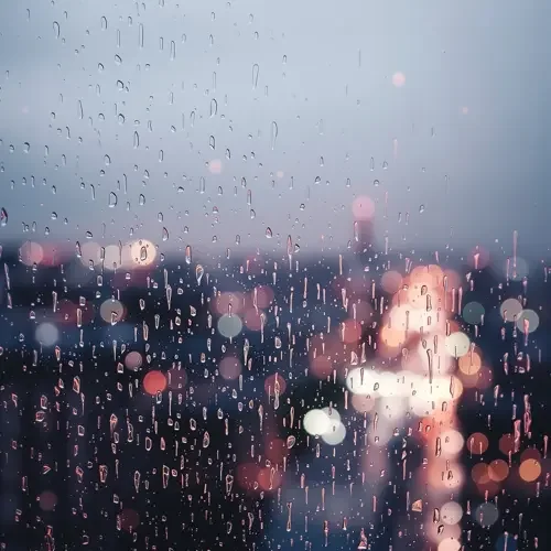 雨伞下的告白 OST专辑封面